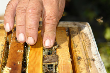 Similar image 729819