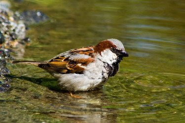 Similar image 729830