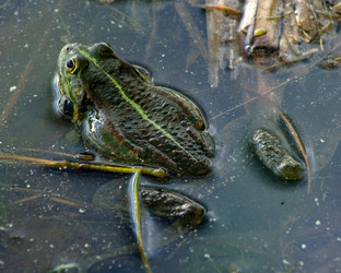 Similar image 729831