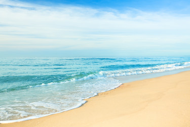 Similar image 729858