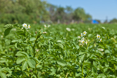 Similar image 729935