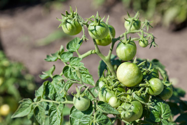 Similar image 729939