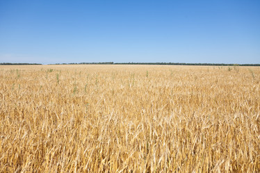 Similar image 729944