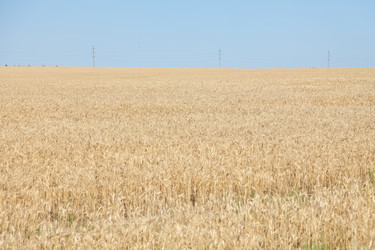 Similar image 729946