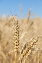 Similar image 729951