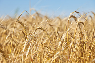 Similar image 729953