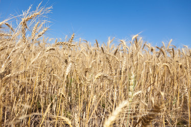 Similar image 729956