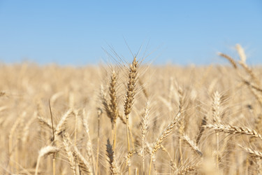 Similar image 729958