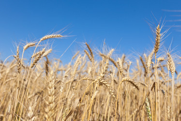 Similar image 729959