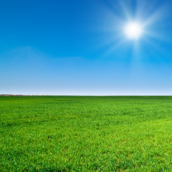 Similar image 729961