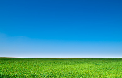 Similar image 729965