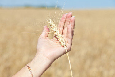 Similar image 729973