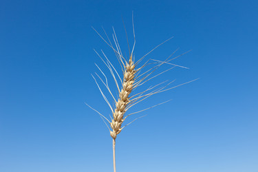 Similar image 729979