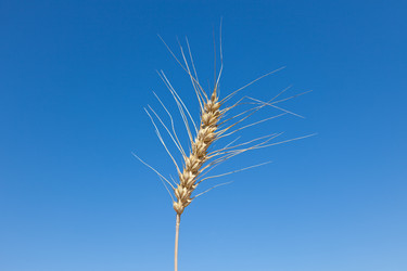 Similar image 729980