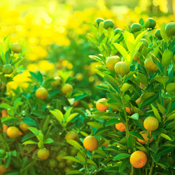 Similar image 729983