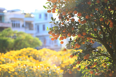 Similar image 729985