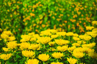 Similar image 729987