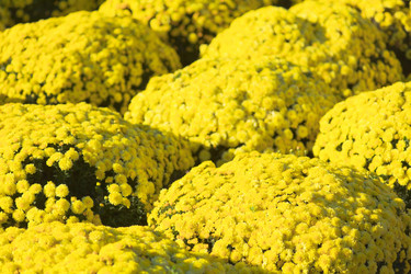 Similar image 729990