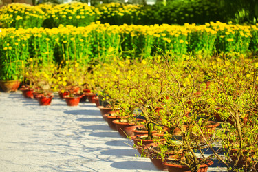 Similar image 729992