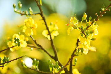 Similar image 729994