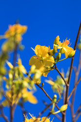 Similar image 729995