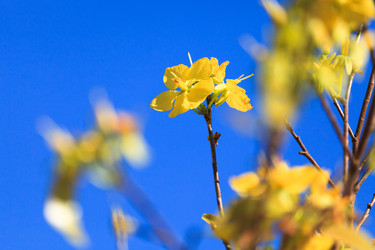 Similar image 729996