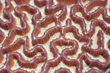 Similar image 729998