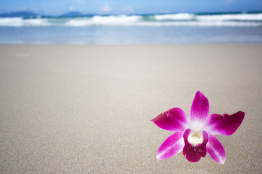 Similar image 730006