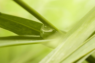 Similar image 730023