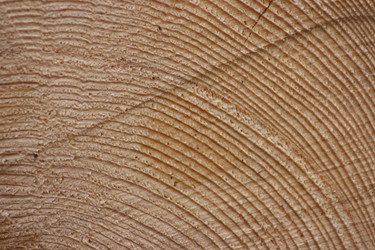 Similar image 730036