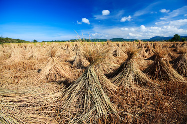 Similar image 730050