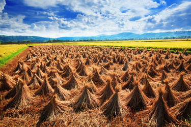 Similar image 730051