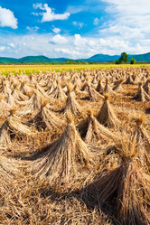 Similar image 730052