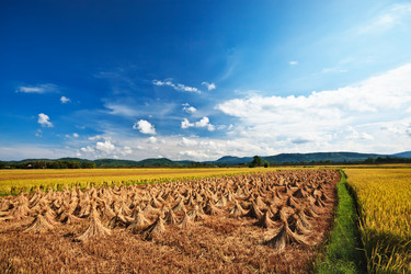 Similar image 730053