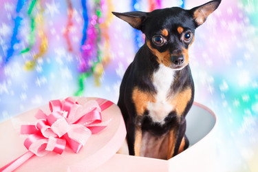 Similar image 730059