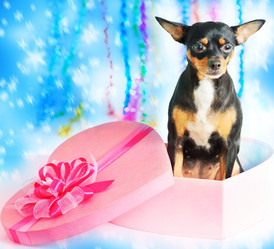 Similar image 730060