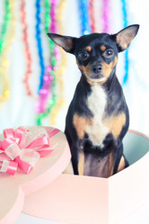 Similar image 730061