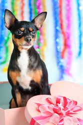 Similar image 730062