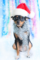 Similar image 730065