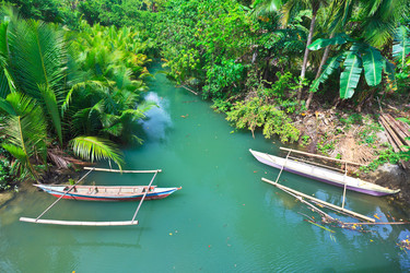 Similar image 730124