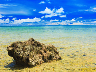 Similar image 730154