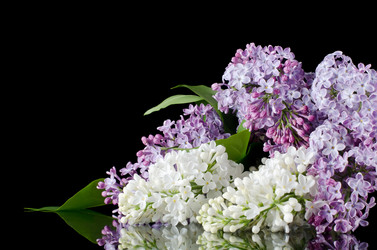 Similar image 730159