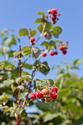 Similar image 730176