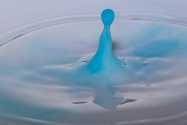 Similar image 730192