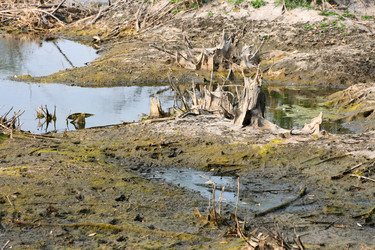 Similar image 730201