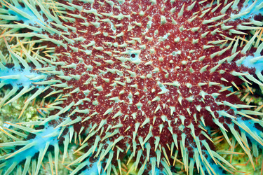 Similar image 730204