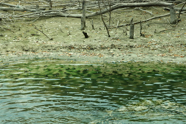 Similar image 730205