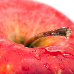 Similar image 730208