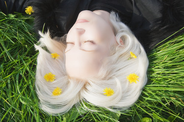 Similar image 730216