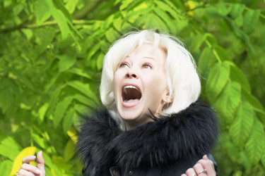 Similar image 730219